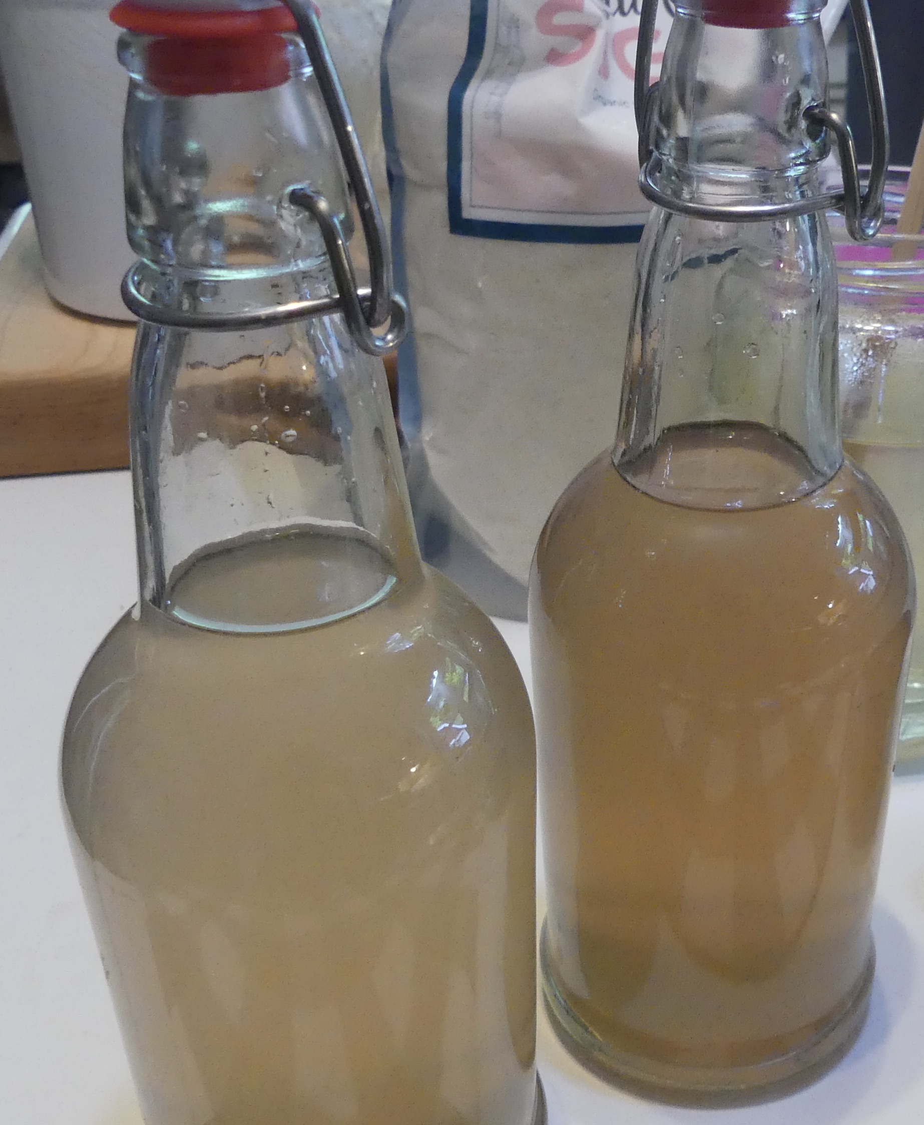 How to make Water Kefir {Homemade Fermented Soda} - The Rose Homestead