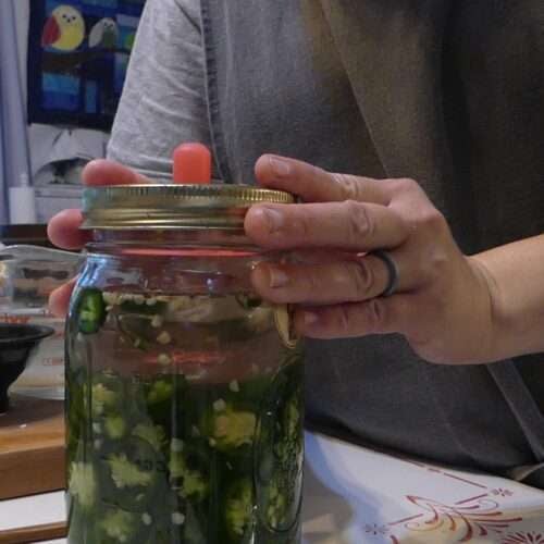 Fermented Jalapeños