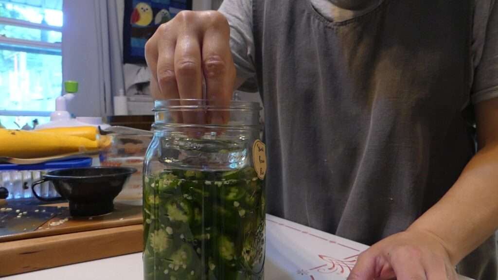 A jar with sliced jalapenos in salt water ready to ferment.