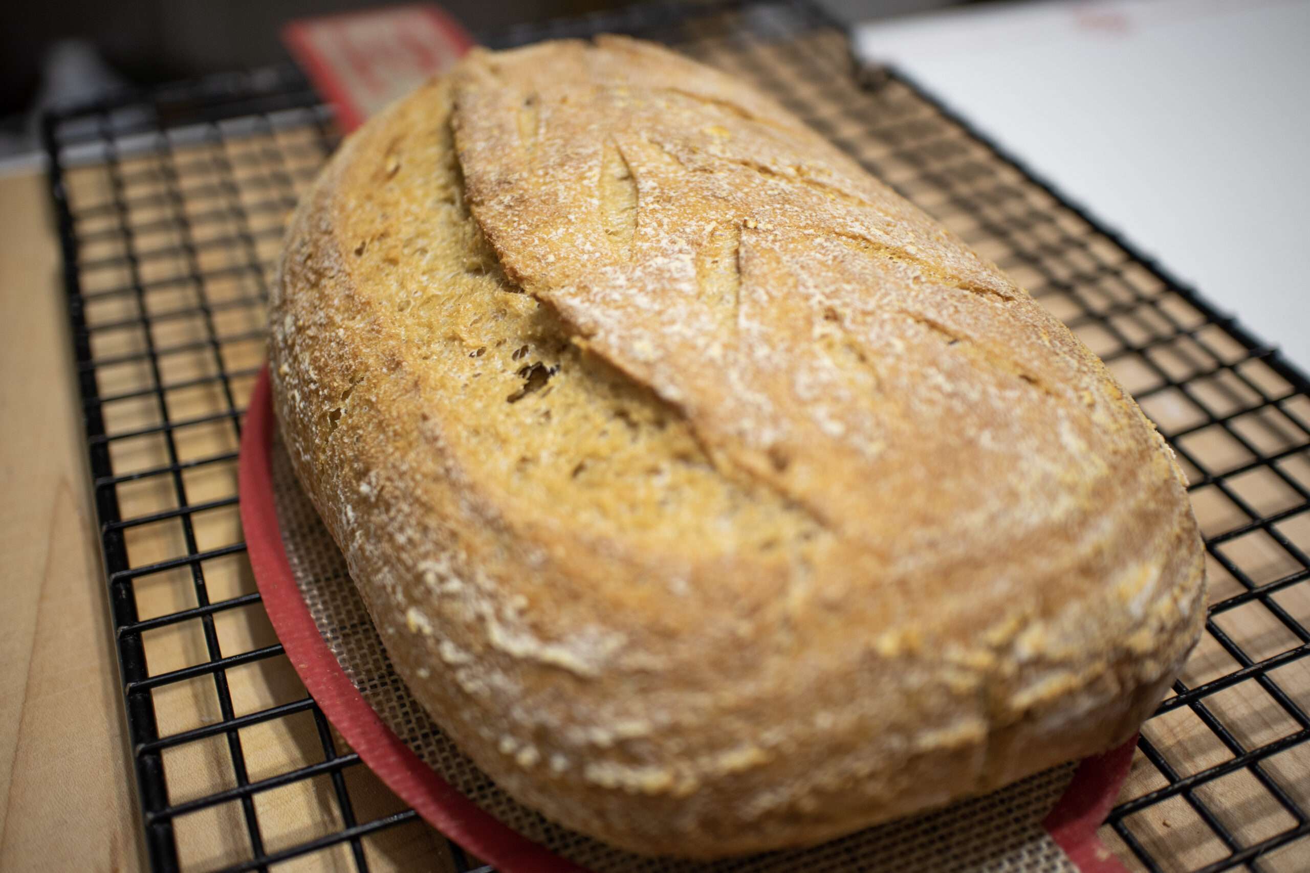 Easy Rustic Whole Wheat Sourdough Bread Recipe - The Rose Homestead