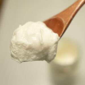a wooden spoon with a dollup of homemade yogurt on it