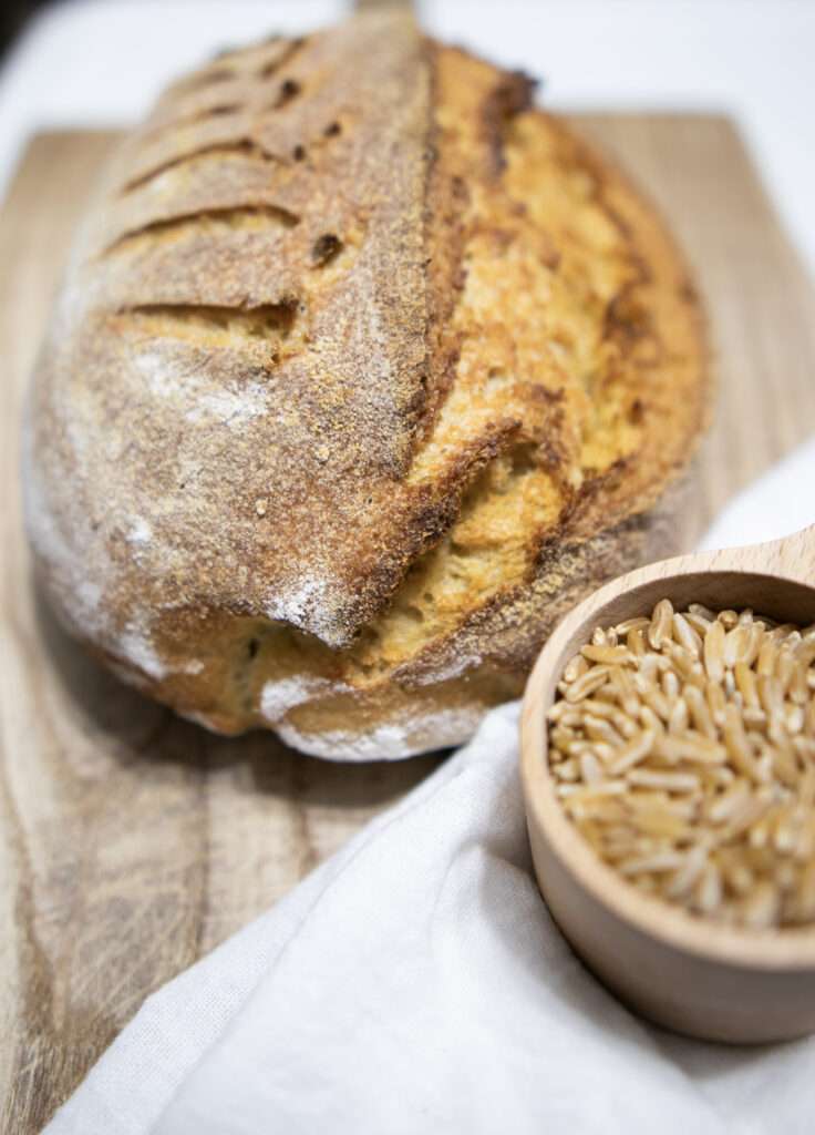 Loaf of Kamut Sourdough Bread with a cup of Kamut wheat berries in the foreground