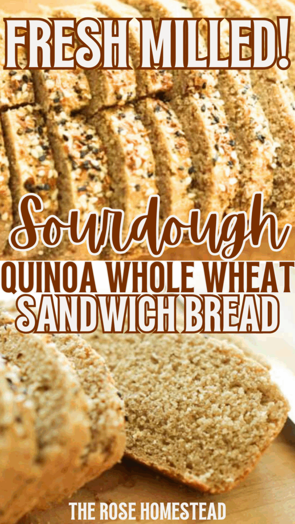 Pinterest pin for sourdough quinoa whole wheat sourdough bread. The top photo is the top of the sliced loaf, bottom shows the loaf sliced on a cutting board. The text reads fresh milled sourdough quinoa whole wheat sandwich bread.