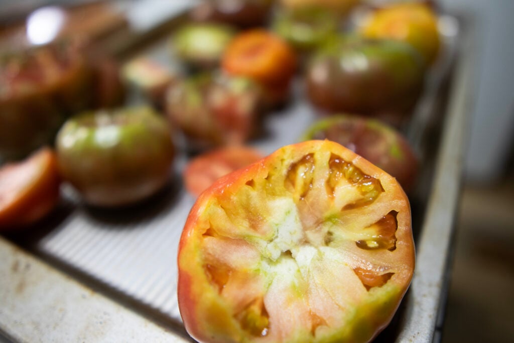 A whole tomato with the top cut out in front of a baking tray full of fresh tomatoes.