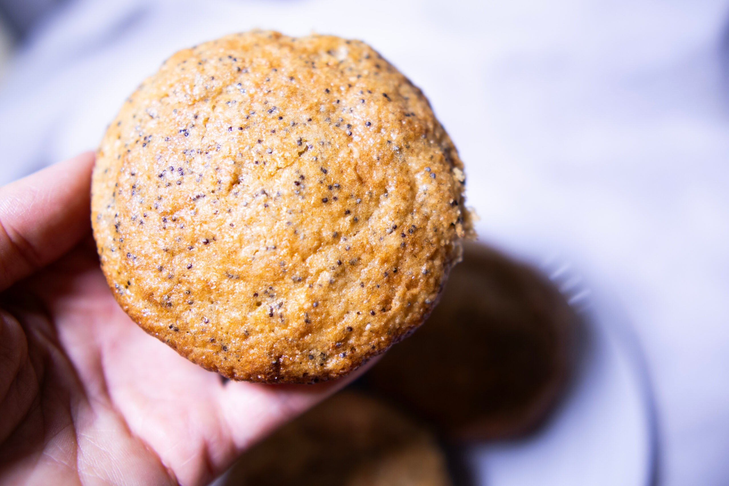 Whole Grain Lemon Poppy Seed Muffins