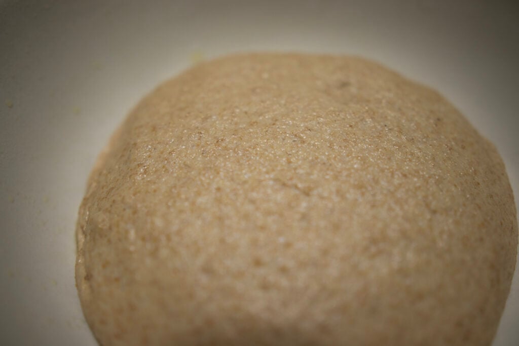 Ezekiel bread dough rising in the bowl