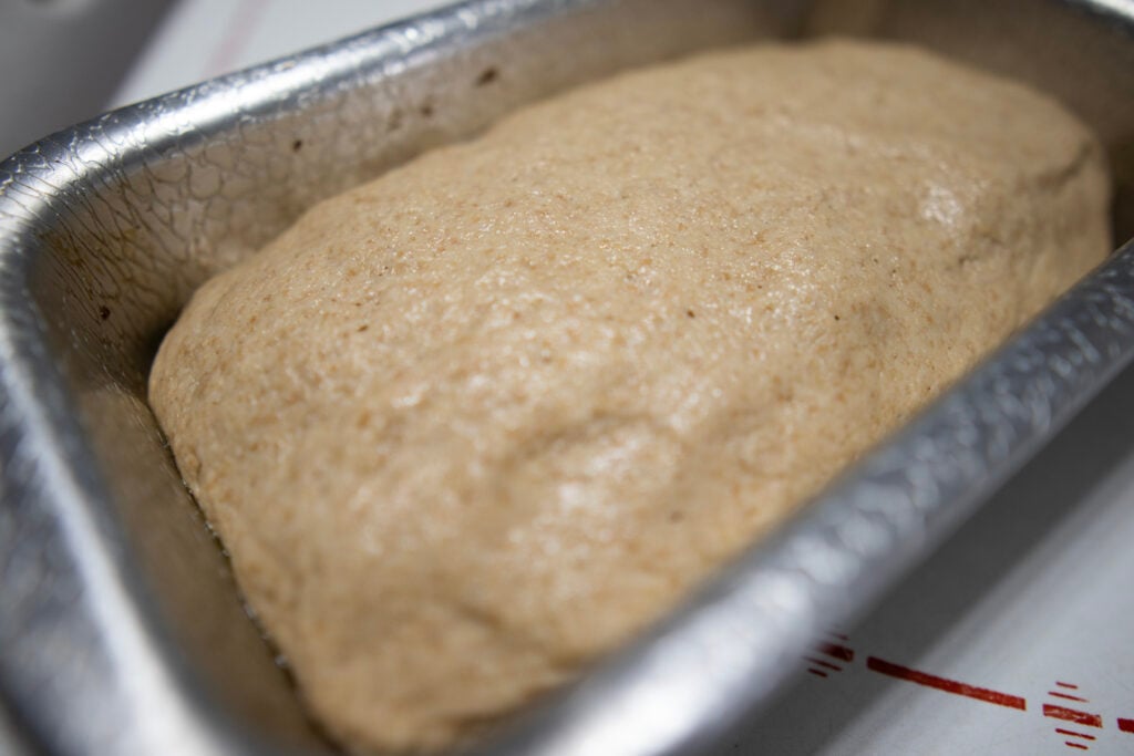 Ezekiel bread dough rising in the loaf pan