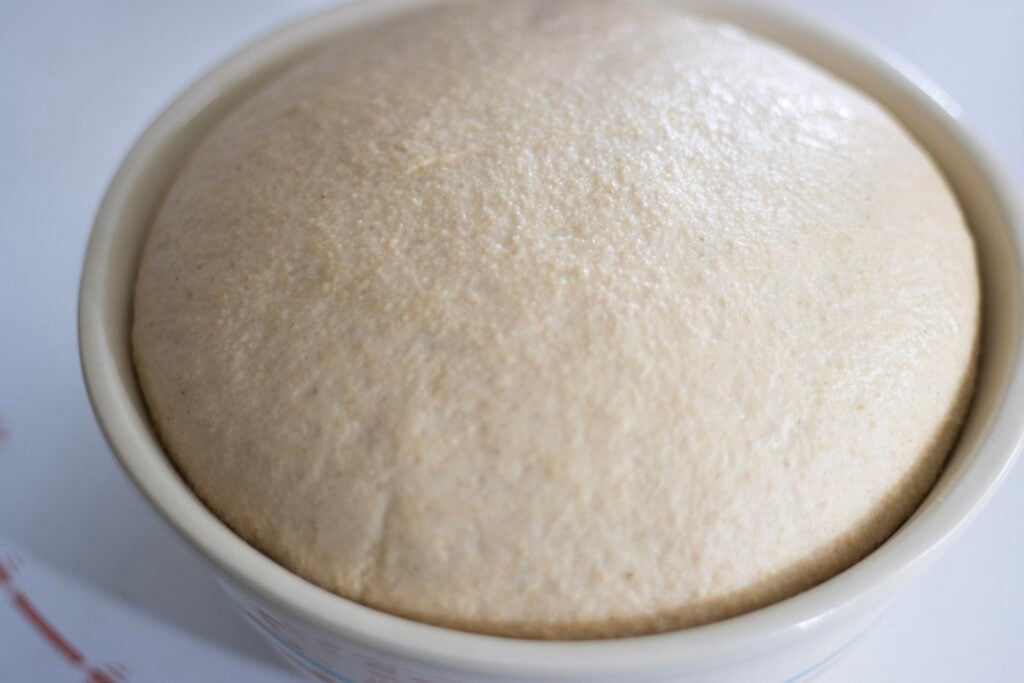 bread dough rising in a bowl