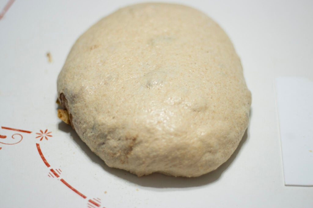 bread dough resting on counter