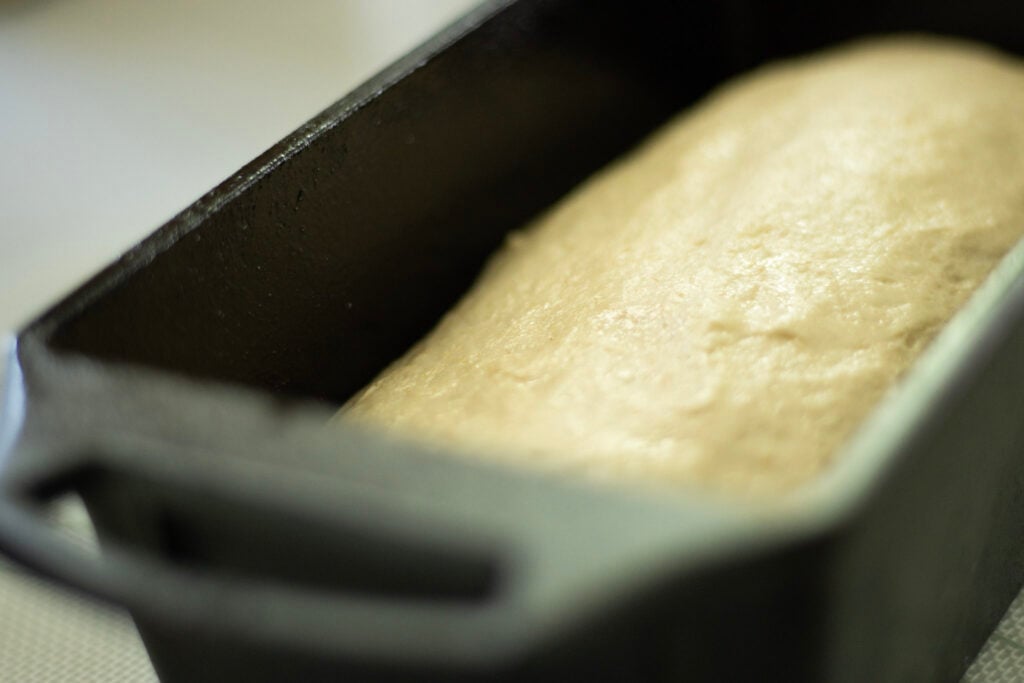 bread dough rising in pan