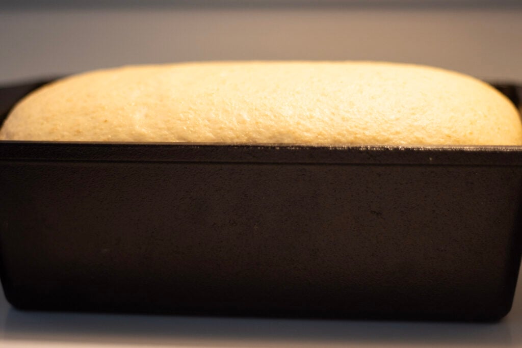 dough risen to top of loaf pan ready for the oven