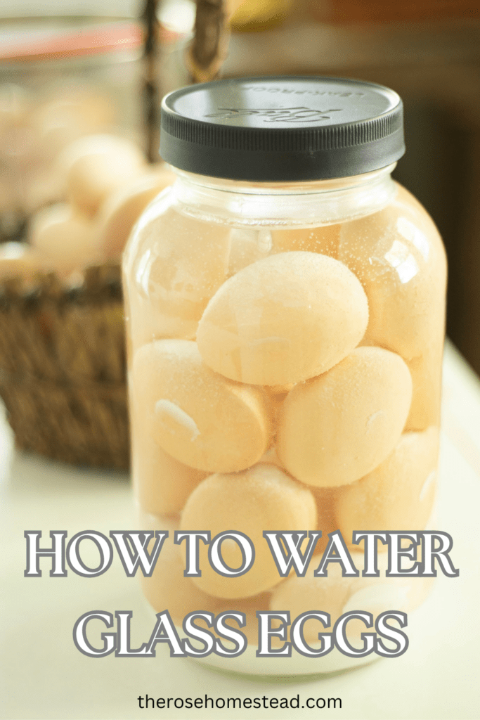 How To Water Glass Eggs For Long Term Preservation The Rose Homestead