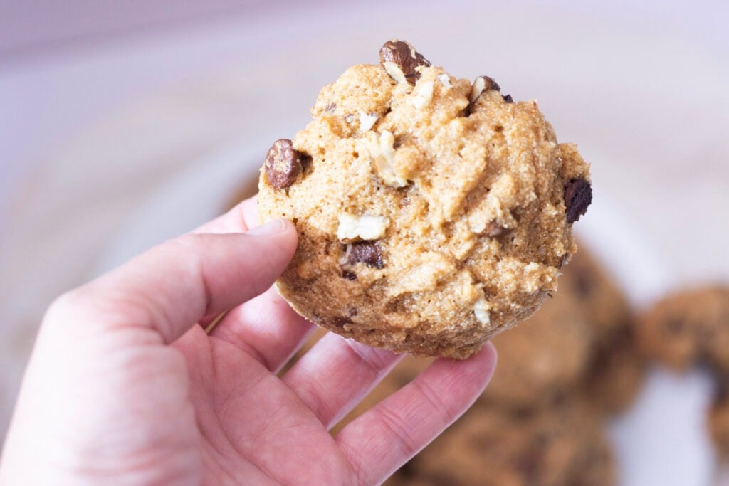 cookie in hand with background blurred out
