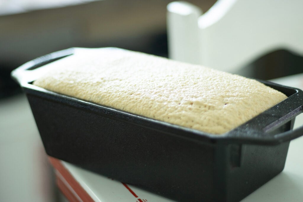 bread dough rising in a loaf pan
