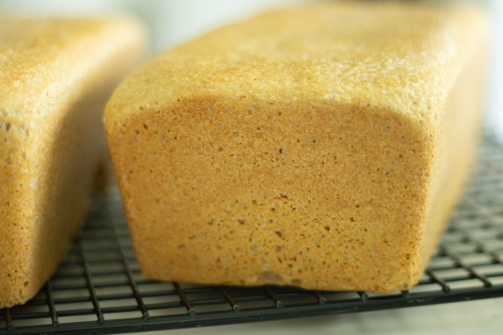 shot of the end of a loaf of bread showing the air bubbles in the crust.