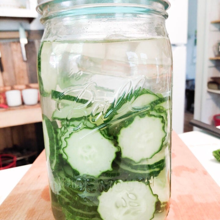 Fermented pickles in a jar