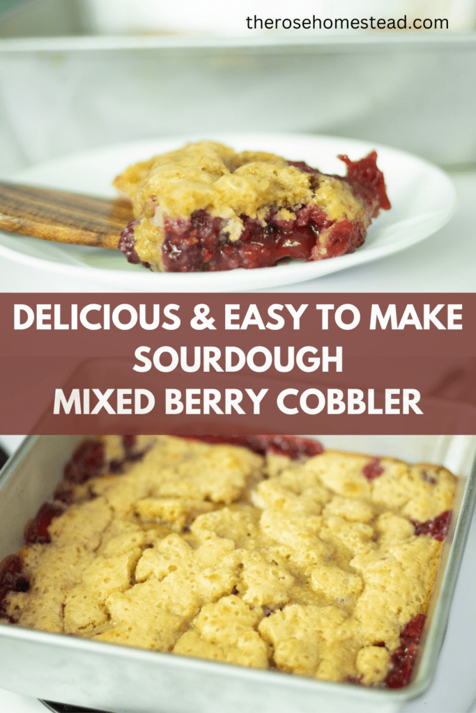 2 pics of berry cobbler. The top on a white plate and the bottom is the cobbler in the pan