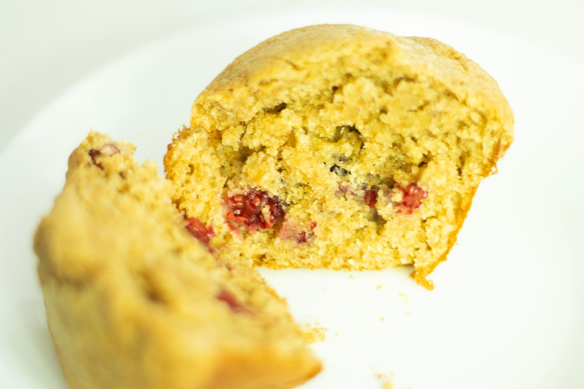 sourdough discard raspberry muffin crumb shot