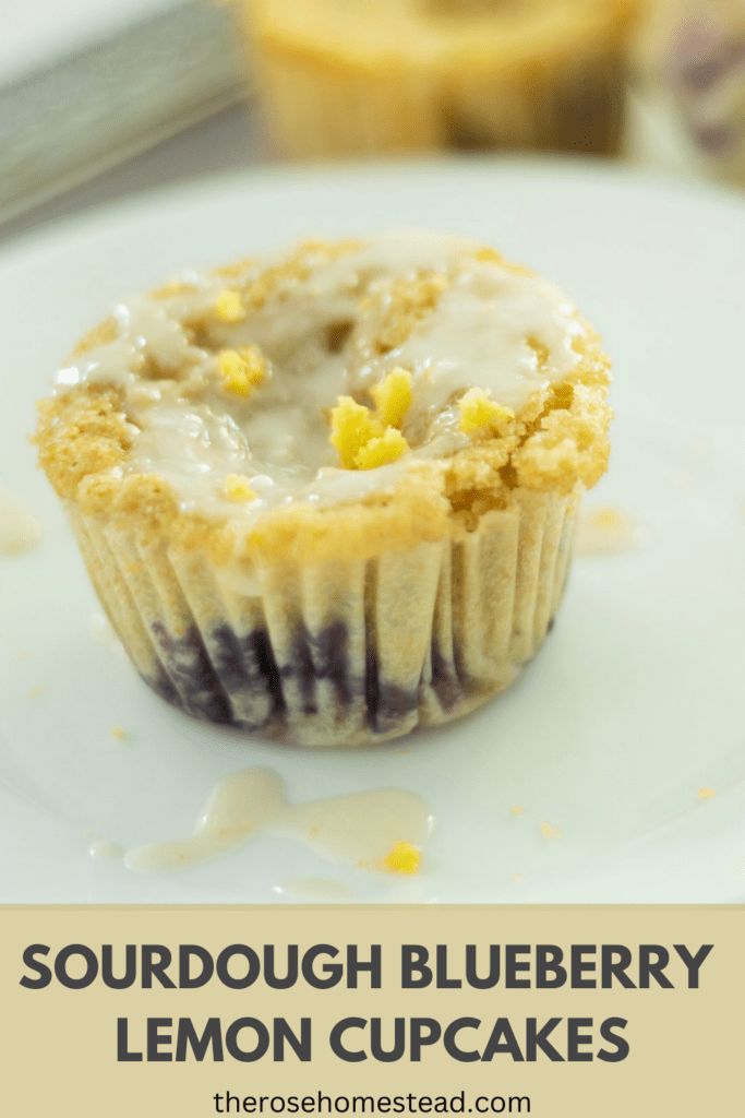 A picture of a sourdough lemon blueberry cupcake with lemon glaze on a white plate