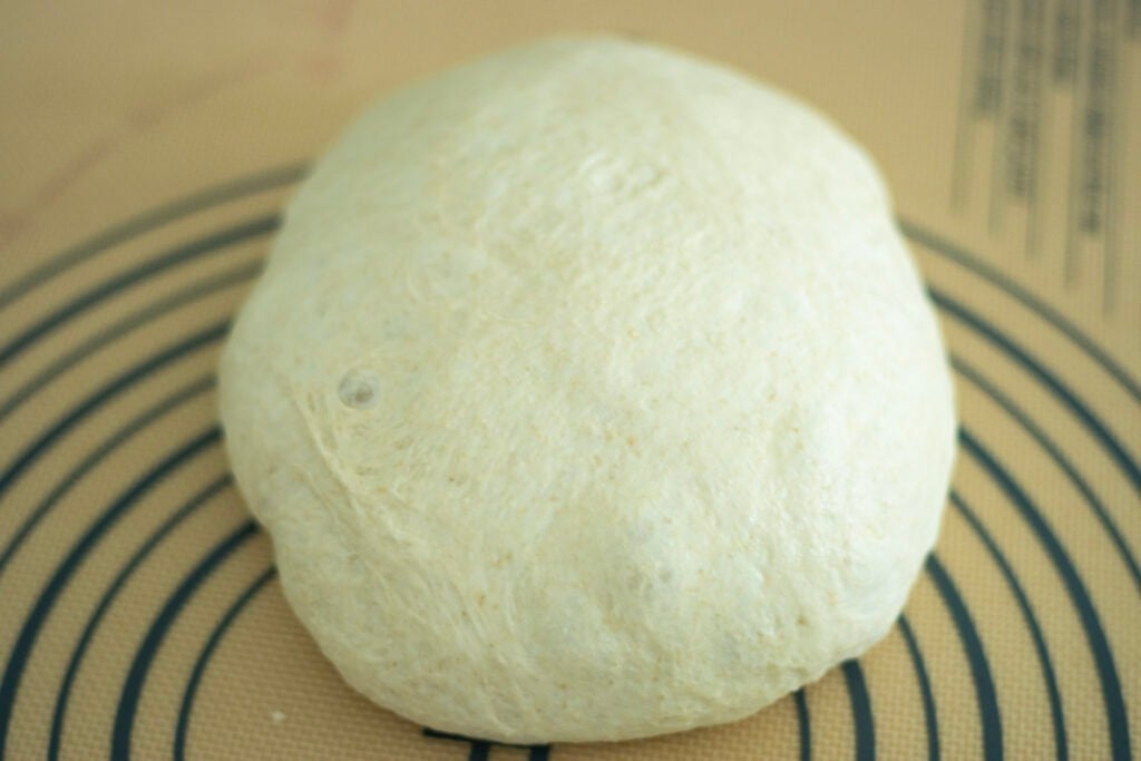 risen sourdough flatbread dough