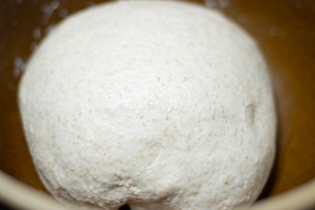 sourdough ciabatta dough rising in a bowl