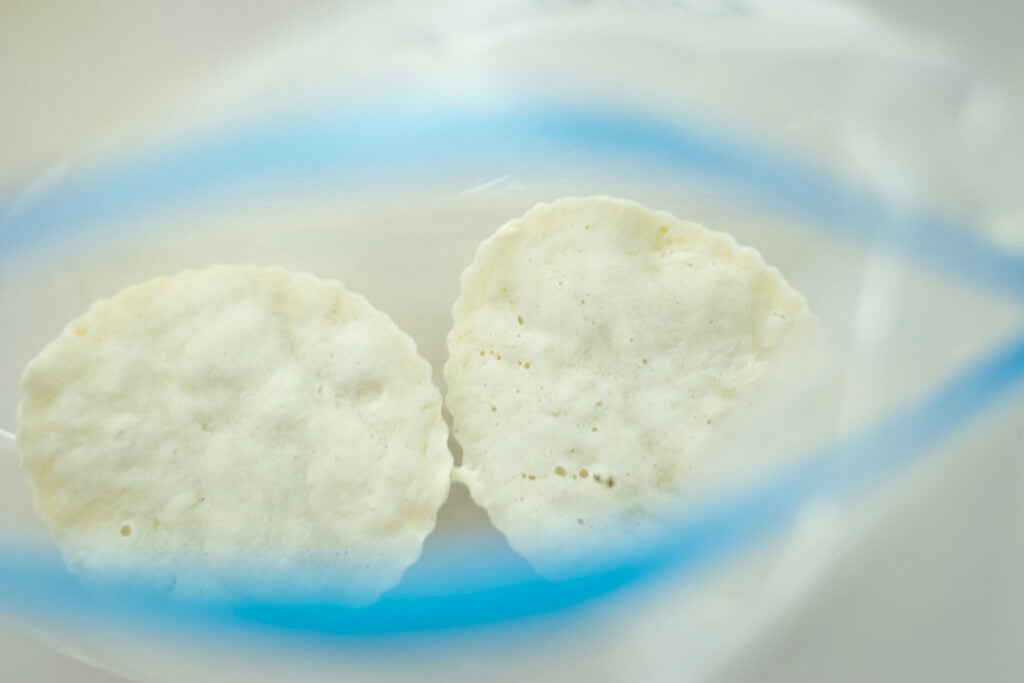 a freezer bag with 2 sourdough starter pucks in it.