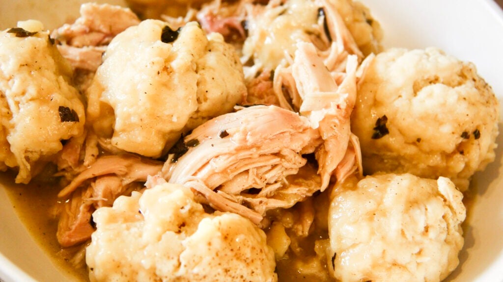 A close shot of a bowl of chicken and dumplings