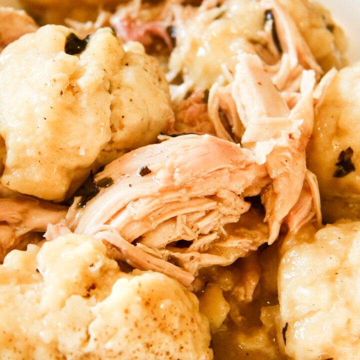 A close shot of a bowl of chicken and dumplings