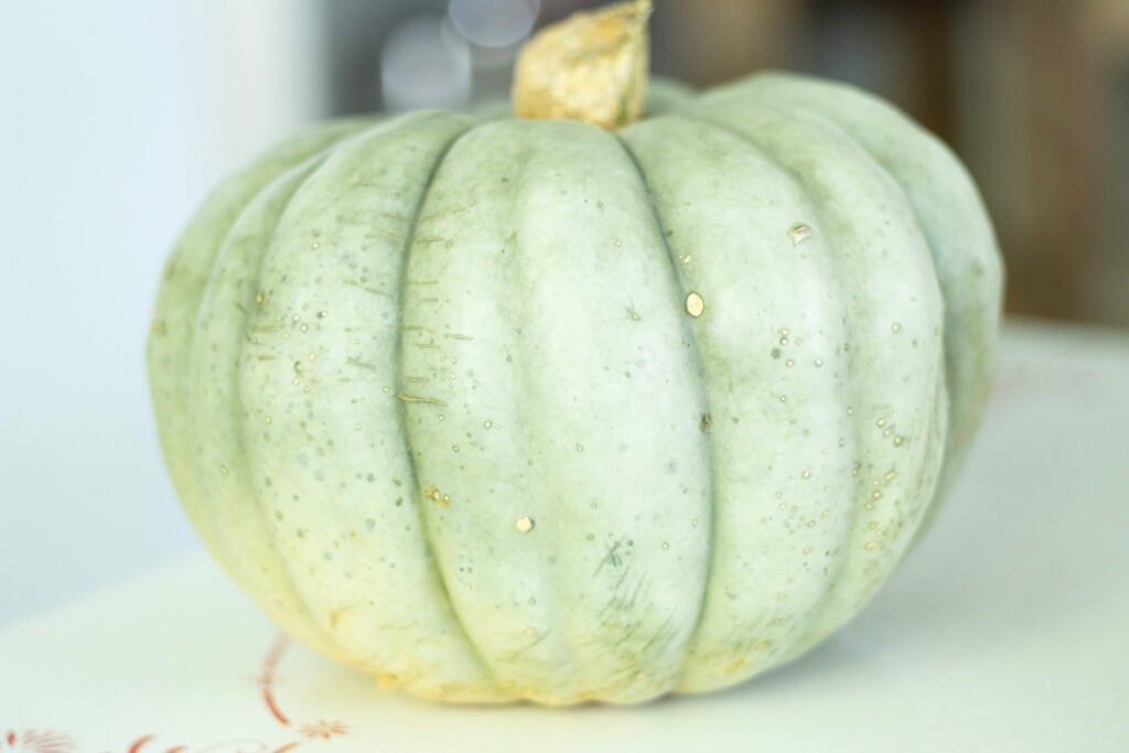 Jaredale pumpkin on a table
