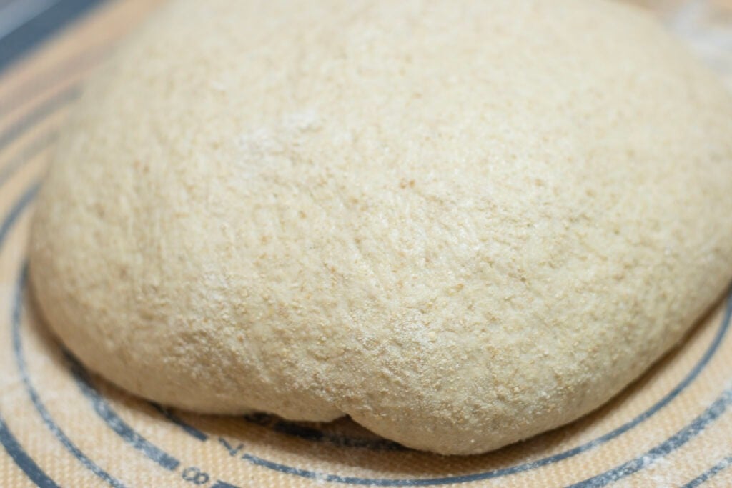 sourdough cinnamon swirl bread dough risen
