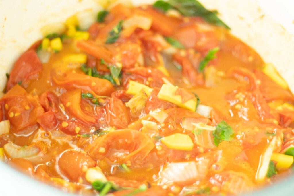 Roasted tomato sauce simmering in large pot with squash, onions, and herbs.