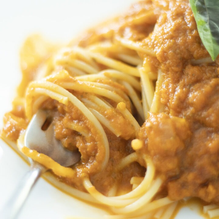 Roasted tomato sauce over spaghetti with fork that has twirled noodles on it