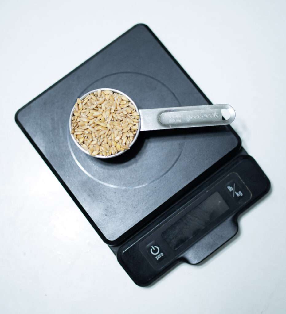 measuring cup with einkorn berries in it sitting on a food scale