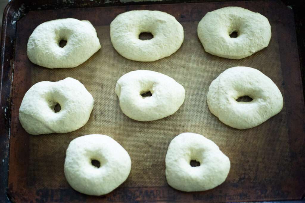 baking sheet with shaped sourdough pumpkin bagels ready for the second rise