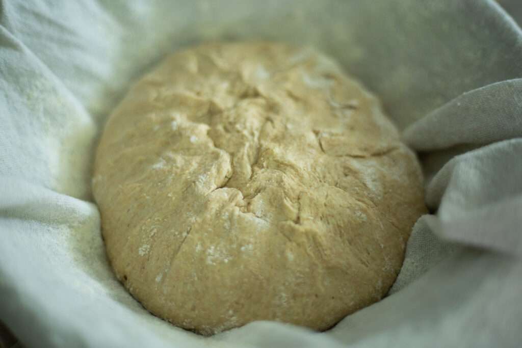 sourdough einkorn dough in banneton basket