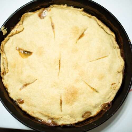 an over head shot of a sourdough chicken pot pie