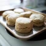 this is a cropped picture of fresh milled biscuits on a baking sheet