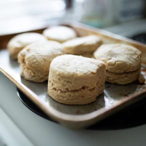 this is a cropped picture of fresh milled biscuits on a baking sheet