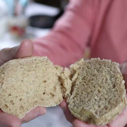 An english muffin cut in half to show the crumb