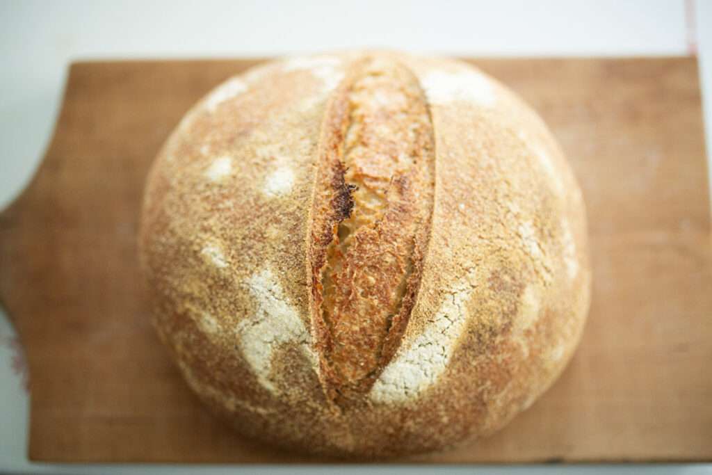 Overhead photo of Rustic whole grain sourdough loaf