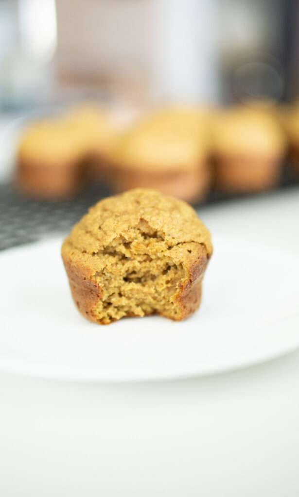 sourdough pumpkin muffin showing crumb