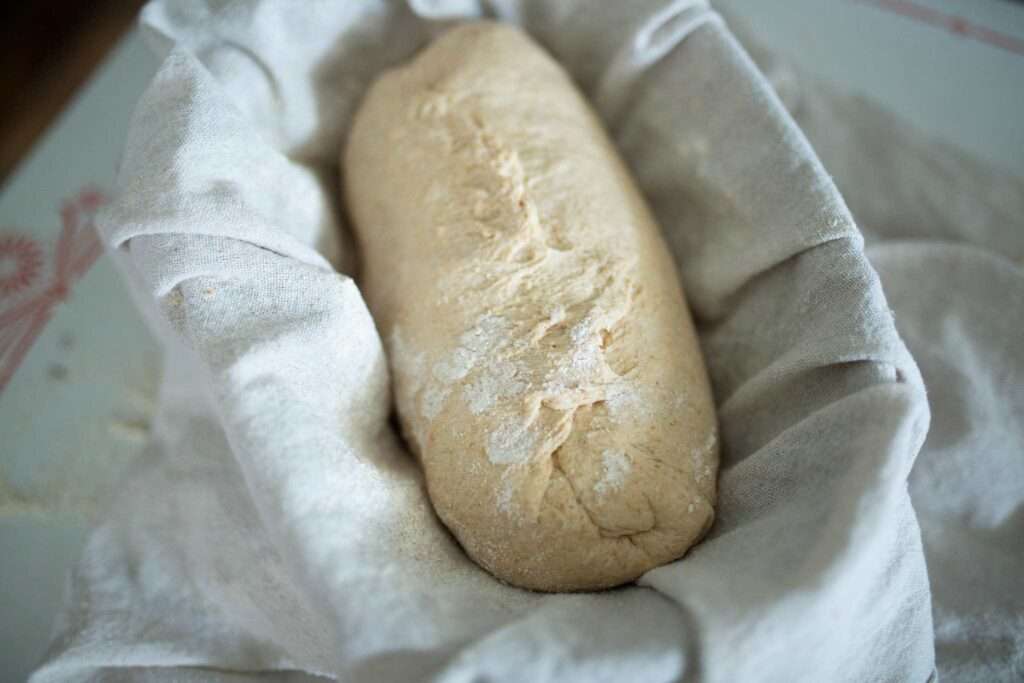 beginner fresh milled sourdough dough in the banneton basket