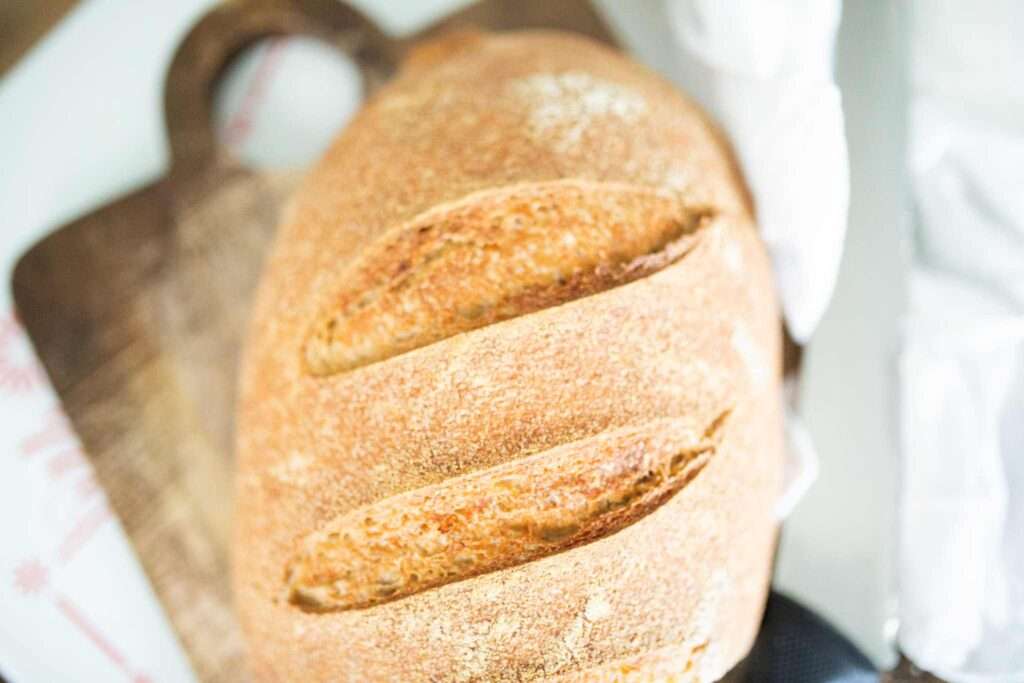 beginner fresh milled sourdough loaf on a cutting board