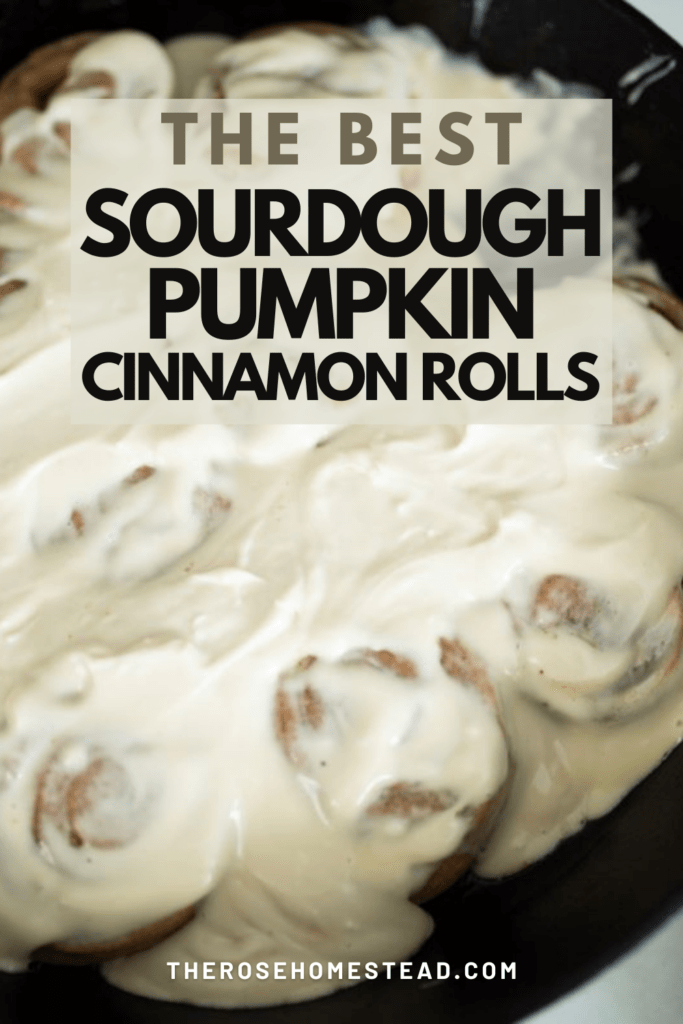 Pinterest pin for sourdough pumpkin cinnamon rolls