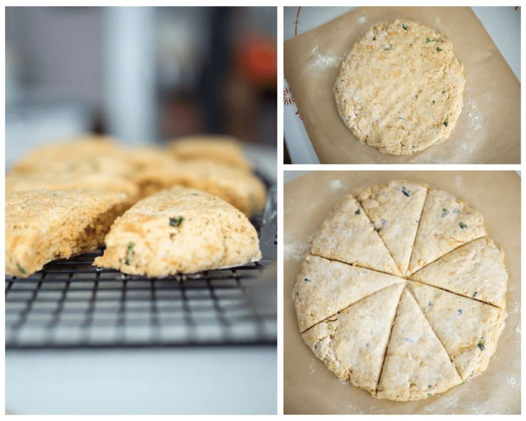 Collage of progress of making sourdough jalapeno garlic scones