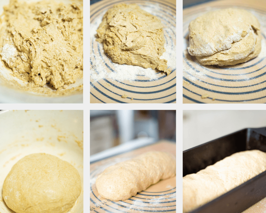 photo collage of sourdough einkorn sandwich bread in progress.
