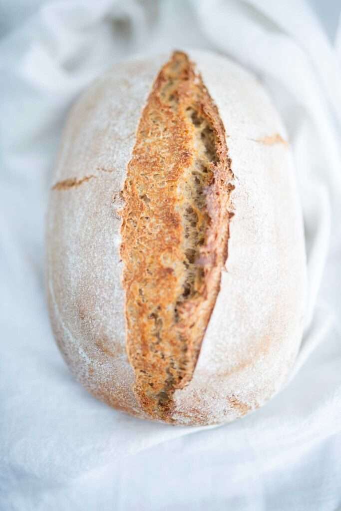 Loaf of easiest sourdough bread with fresh milled flour