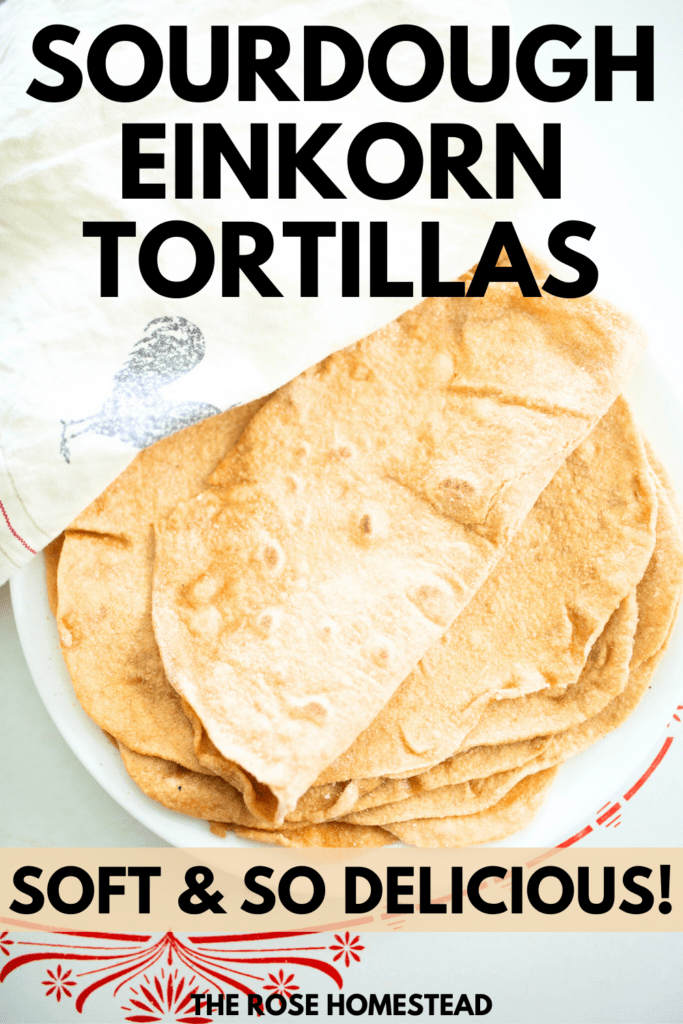 This is pinterest pin for sourdough einkorn tortillas. There is a picture of a stack of tortillas on a plate with the top one folded and a white towel above. Text reads sourdough einkorn tortillas, soft and so delicious.