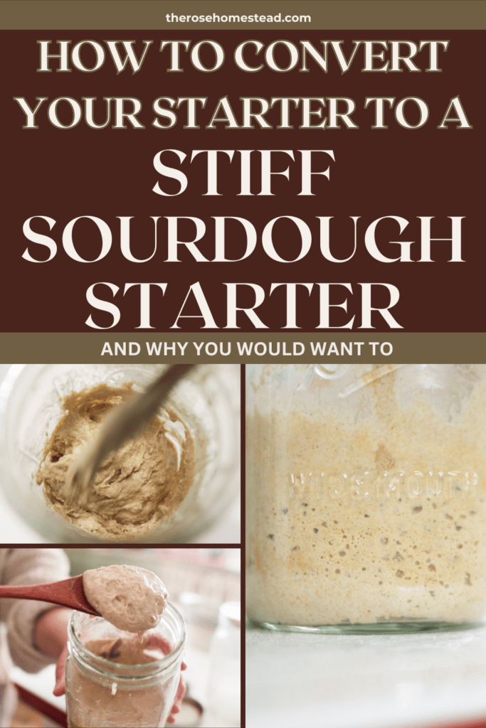 Pinterest pin for how to convert a starter into a stiff sourdough starter wtih pics of the starter in a jar and on a spoon.