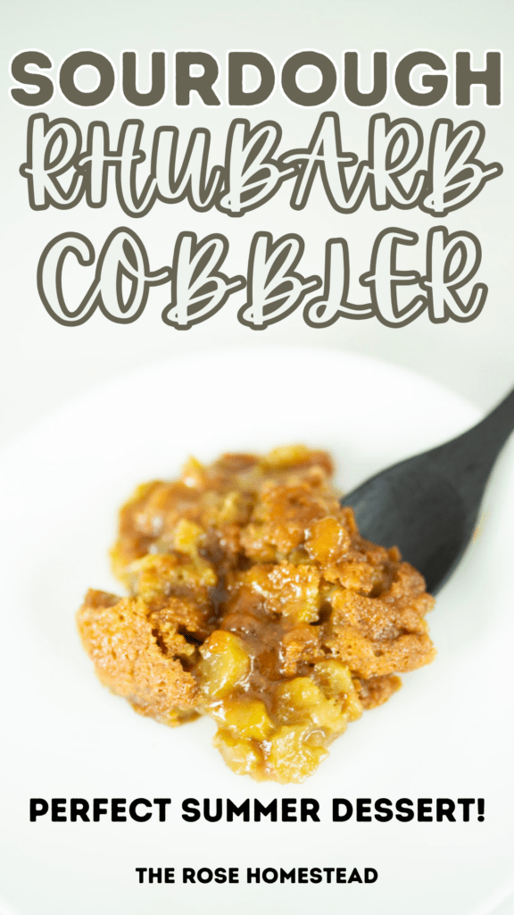 Pinterest pin for sourdough rhubarb cobbler. It's a picture of the cobbler with a wooden spoon on a plate. Text reads sourdough rhubarb cobbler, perfect summer dessert.